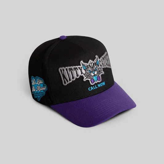 Kitty Catcher Hat